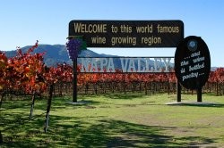 Napa Valley Selection